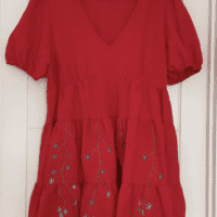 A red dress hand embroidered with blue flower vines.