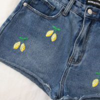 Close up of hand embroidered lemons