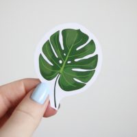 digitally hand drawn monstera leaf sticker