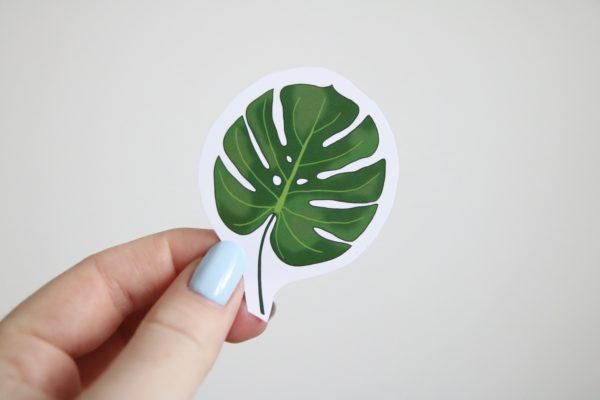 digitally hand drawn monstera leaf sticker