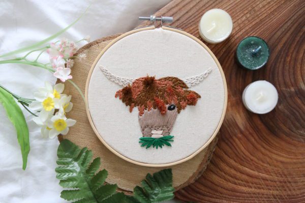 hand embroidered highland cow with a chunk of grass hanging out his mouth